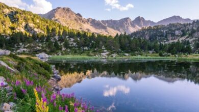 Best Time to Visit Andorra: Winter vs Summer Explained 10 Best Time to Visit Andorra: Winter vs Summer Explained